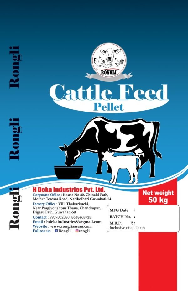 WhatsApp-Image-2023-02-25-at-7.50.57-PM1-600x929