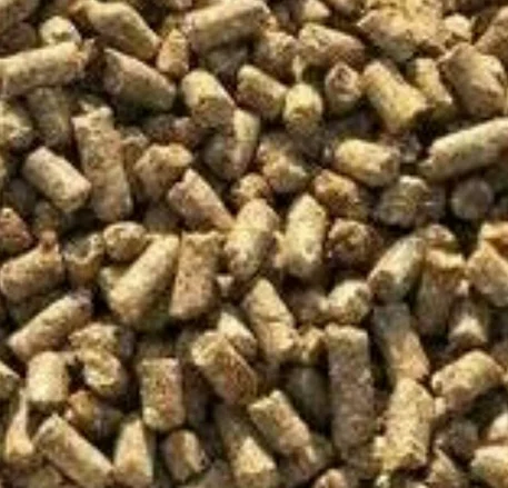 balanced-cattle-feed-500x500