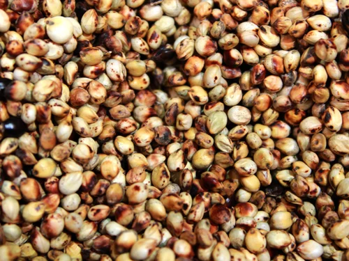 sorghum-meal-500x500