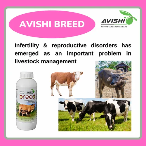 avishi-breed-supplement-for-reproductive-health-500x500