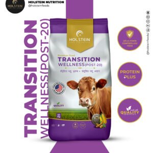 Holstein Transition Wellness Post-20 feed for fresh cows to support digestion, immunity, and higher milk production
